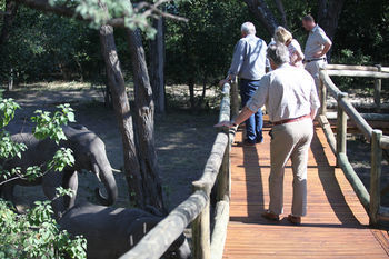 Nambwa Tented Lodge Kongola Exteriér fotografie